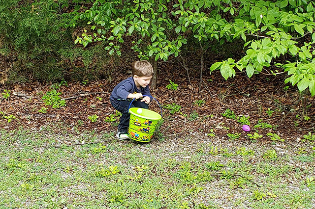 Jarvis collecting eggs.