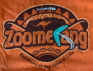 Zoomerang VBS logo.